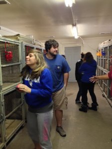 Students Aimee Bishop and Brian Hester check out greyhounds in their kennel.